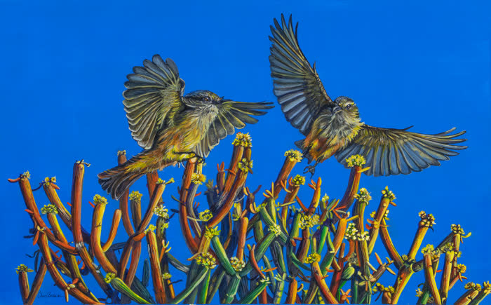 Phoebe's Fire by Cher Swain, Acrylic, accepted work in the WAOW 56th National Exhibition, Limitless