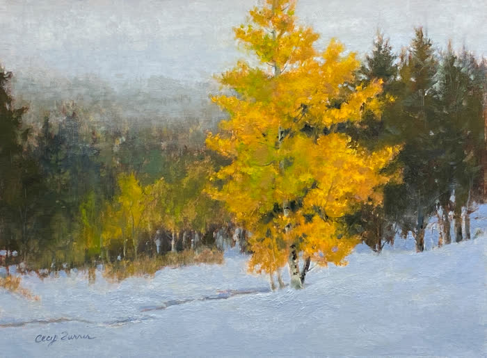 Bright and Beautiful by Cecy Turner, Oil, accepted work in the WAOW 56th National Exhibition, Limitless