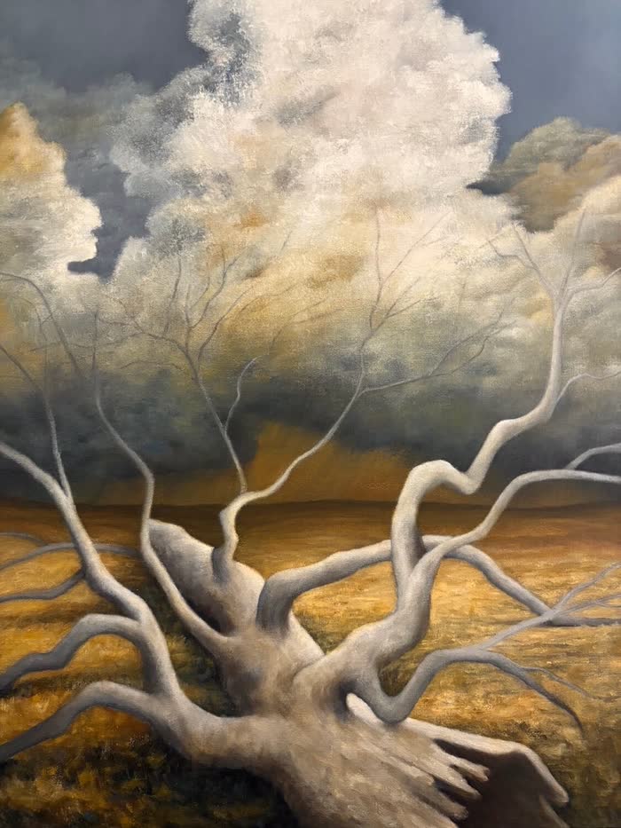 Storm On The Plains by Jill Webber, Oil, accepted work in the WAOW 56th National Exhibition, Limitless