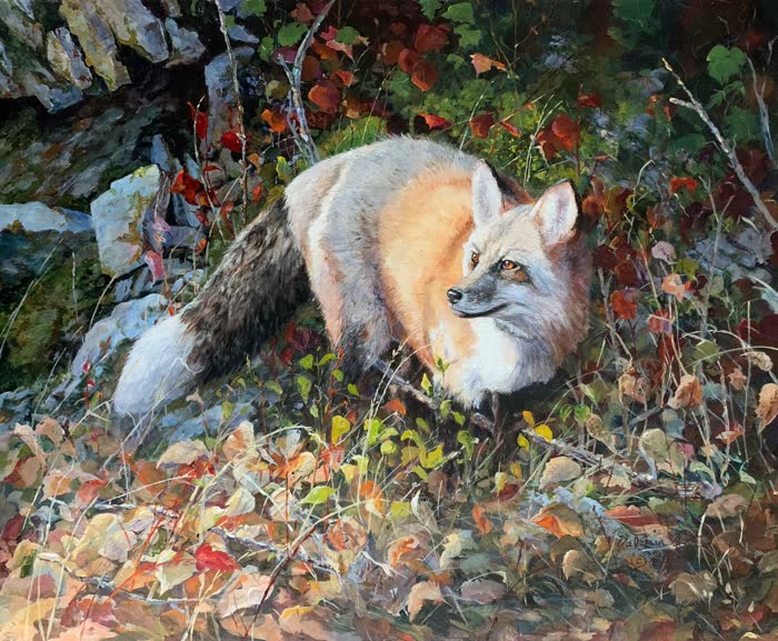 Red Fox Blue Rocks by Valeria Yost, Acrylic, accepted work in the WAOW 56th National Exhibition, Limitless